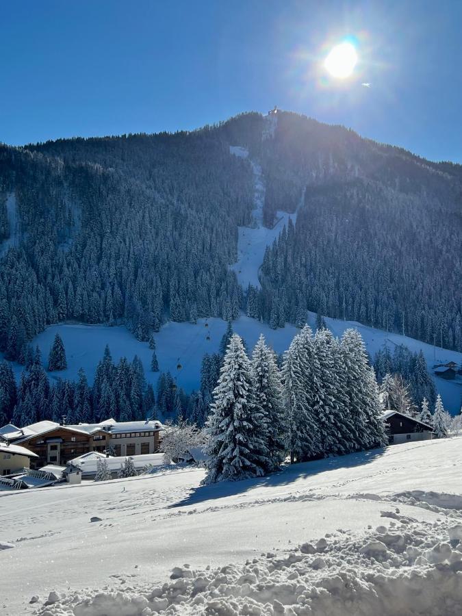 Surrounded By Green - Luxury Chalet At The Foot Of The Dolomites Apartamento La Villa  Exterior foto